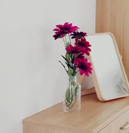 Apartment Lindenhof Bad Schandau